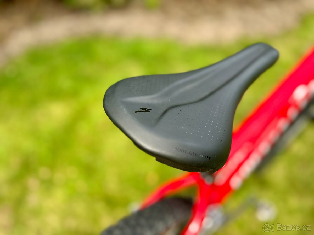 Specialized Rockhopper L - 12