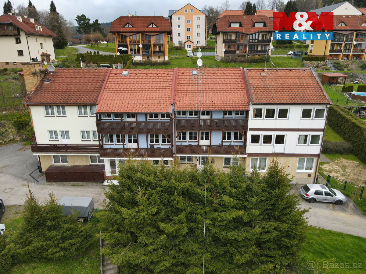 Prodej bytu 1+kk, 20 m², Lipno nad Vltavou - 12
