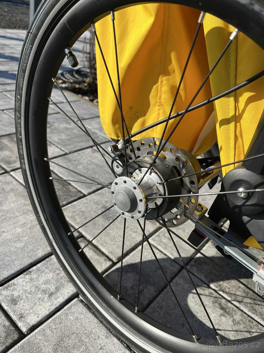 Thule Chariot Sport 2 - 12