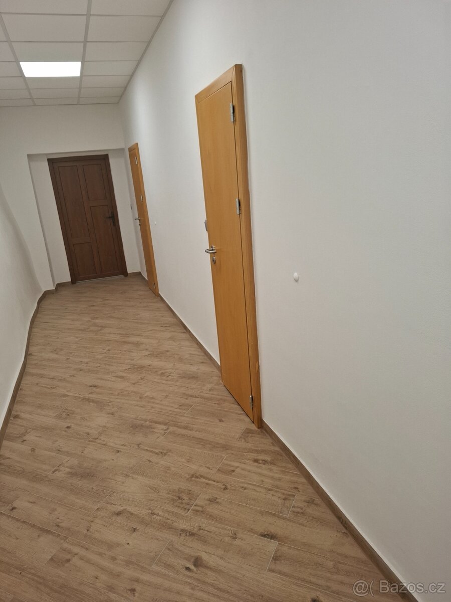 Pronájem obchodního prostoru 210m2 Praha 1 - 12