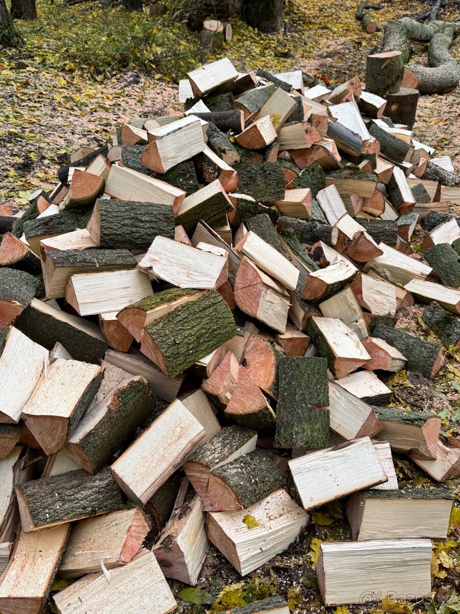 Prodej palivového dřeva - 12