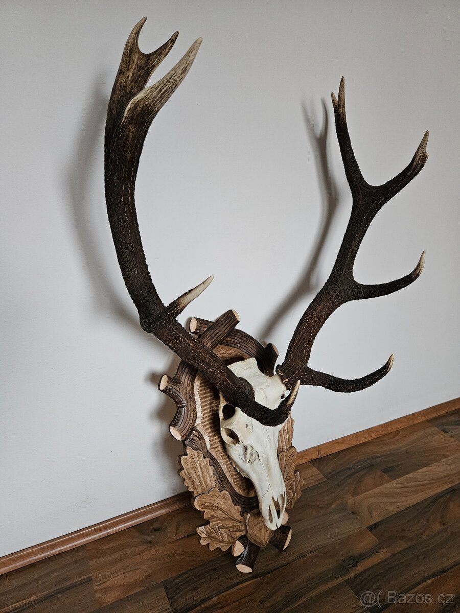 Lovecké trofeje - 12