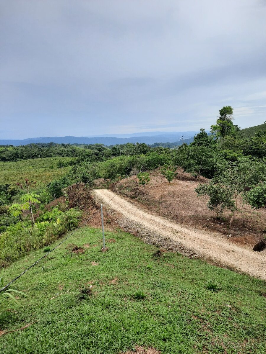 Farma Kostarika Guayacará 152 Ha - 12