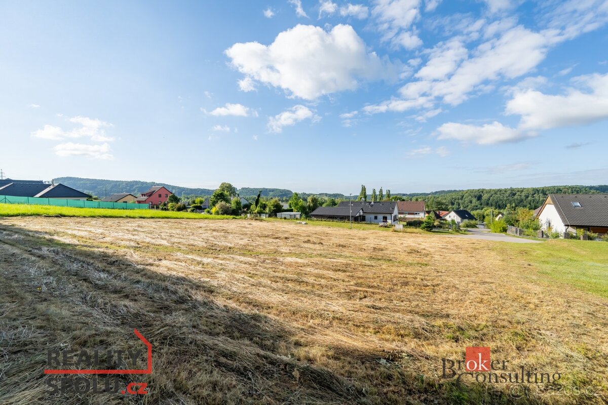 Prodej, pozemky/bydlení, 1402 m2, Pelíkovická 752, 46342 Hod - 12