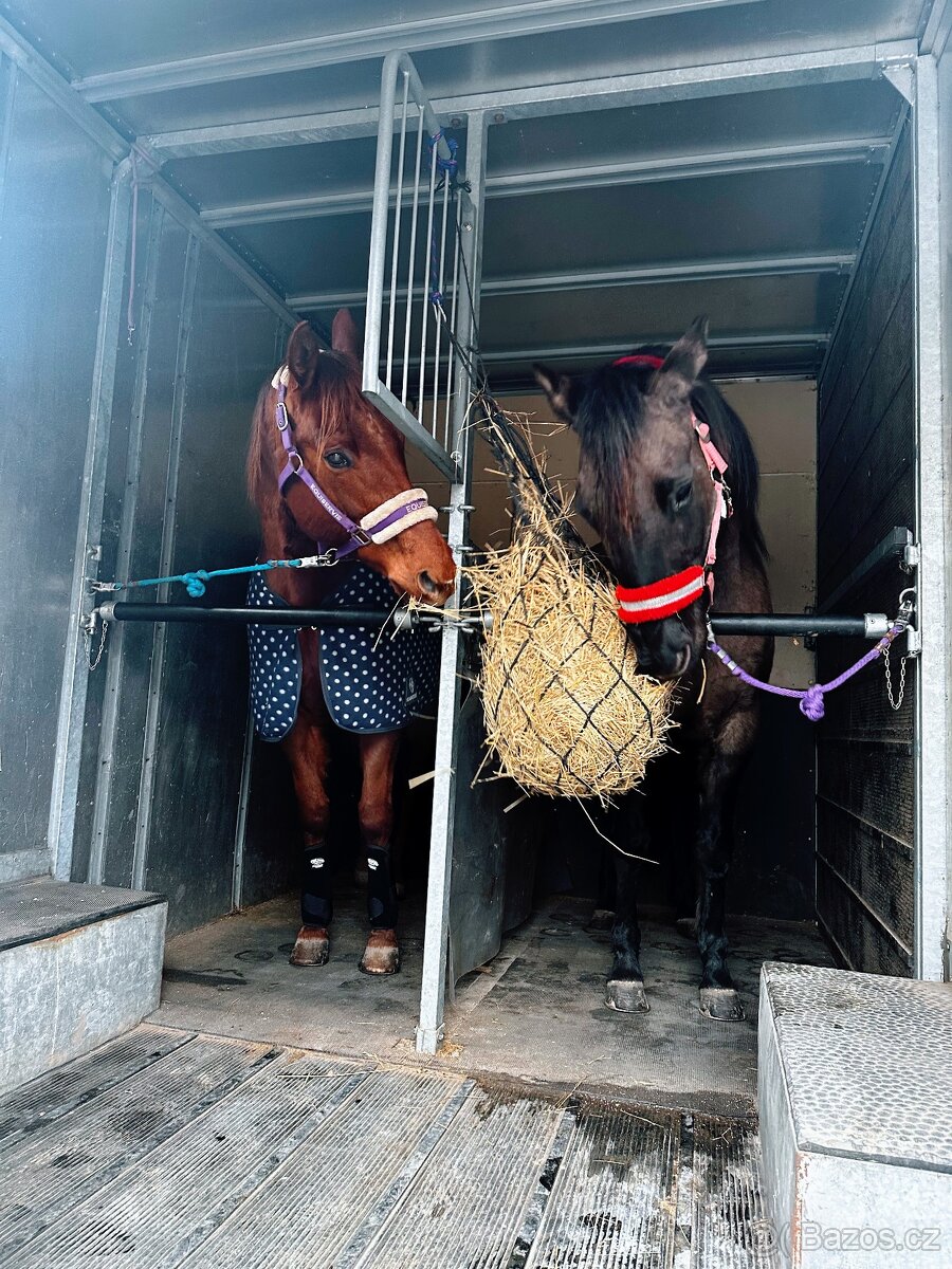 Autopřepravník pro koně, kamera, vzduchový podvozek, nová TK - 12