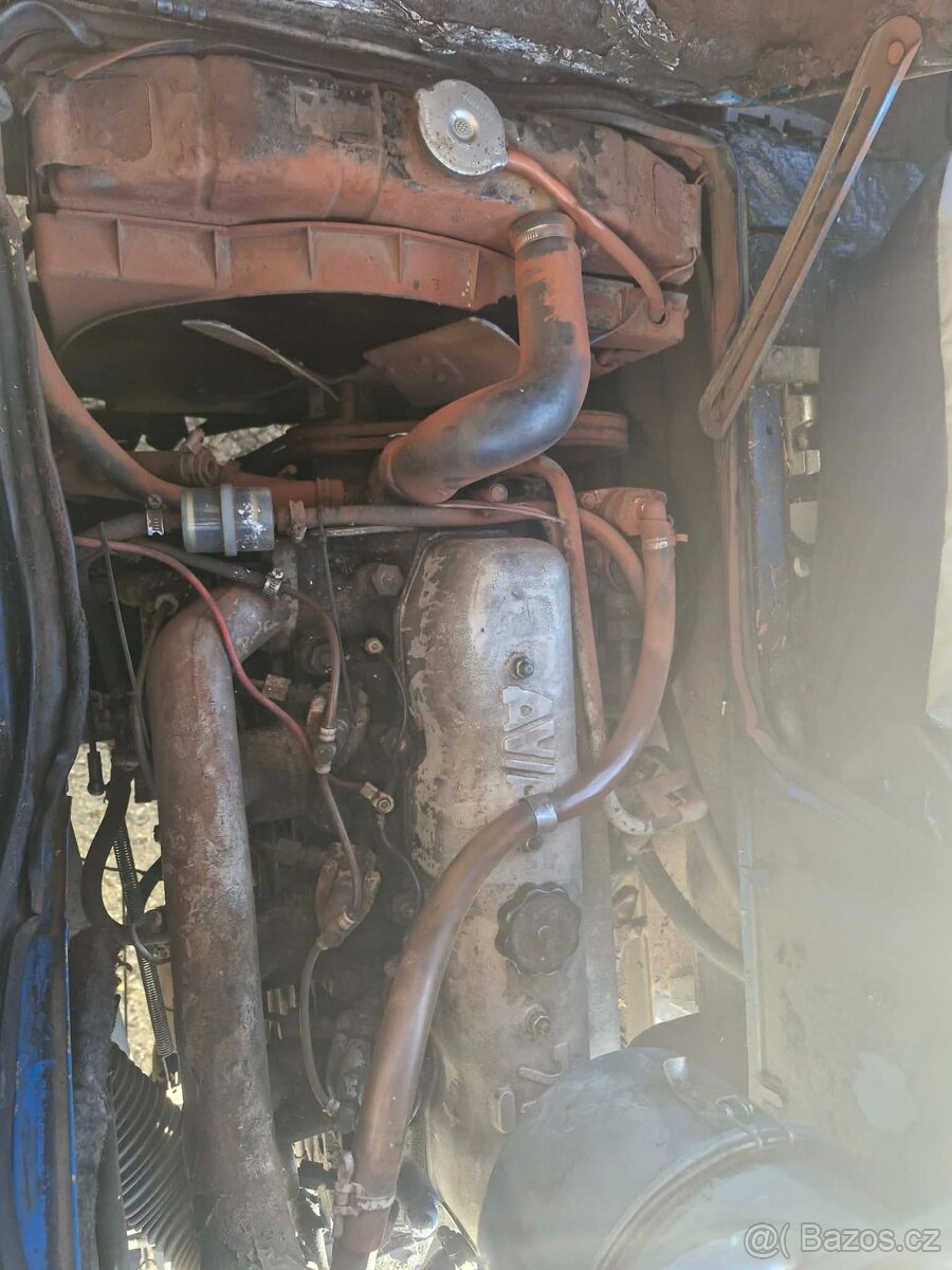 Prodám 3 ks Avie - 12