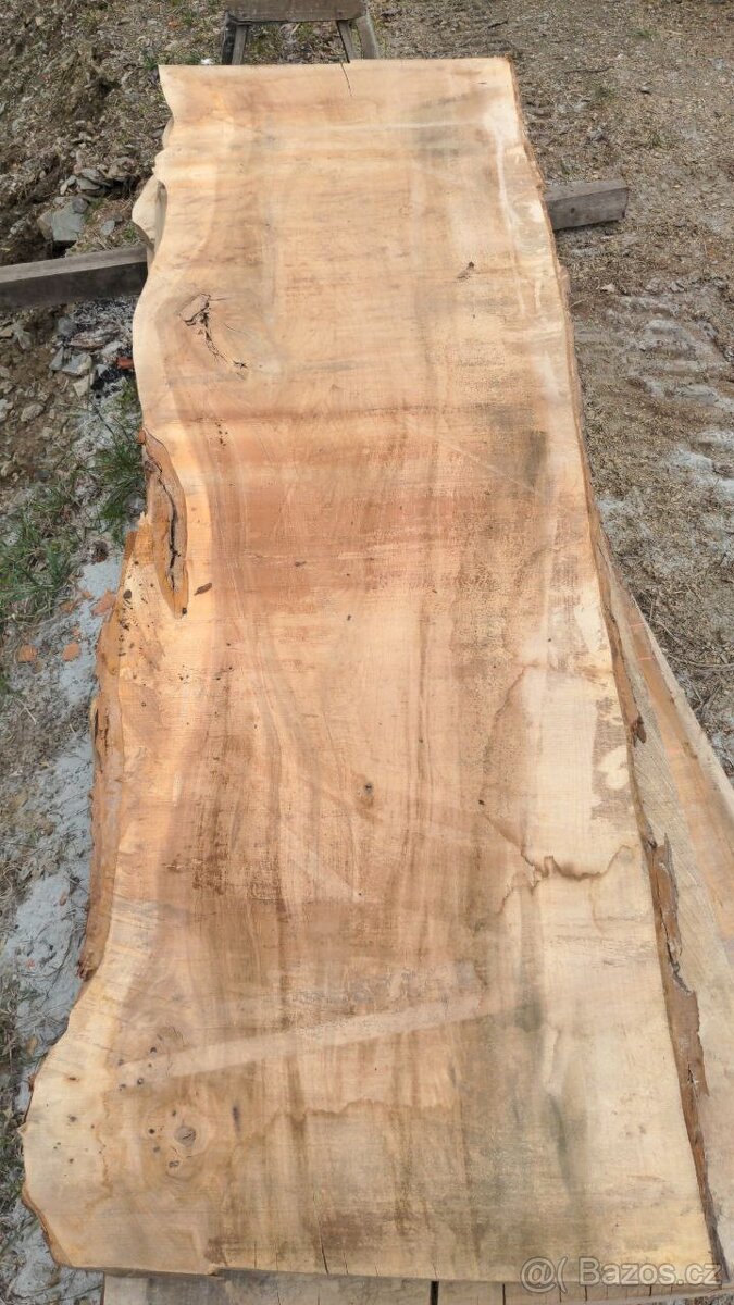 Suché Jilmové fošny - 12