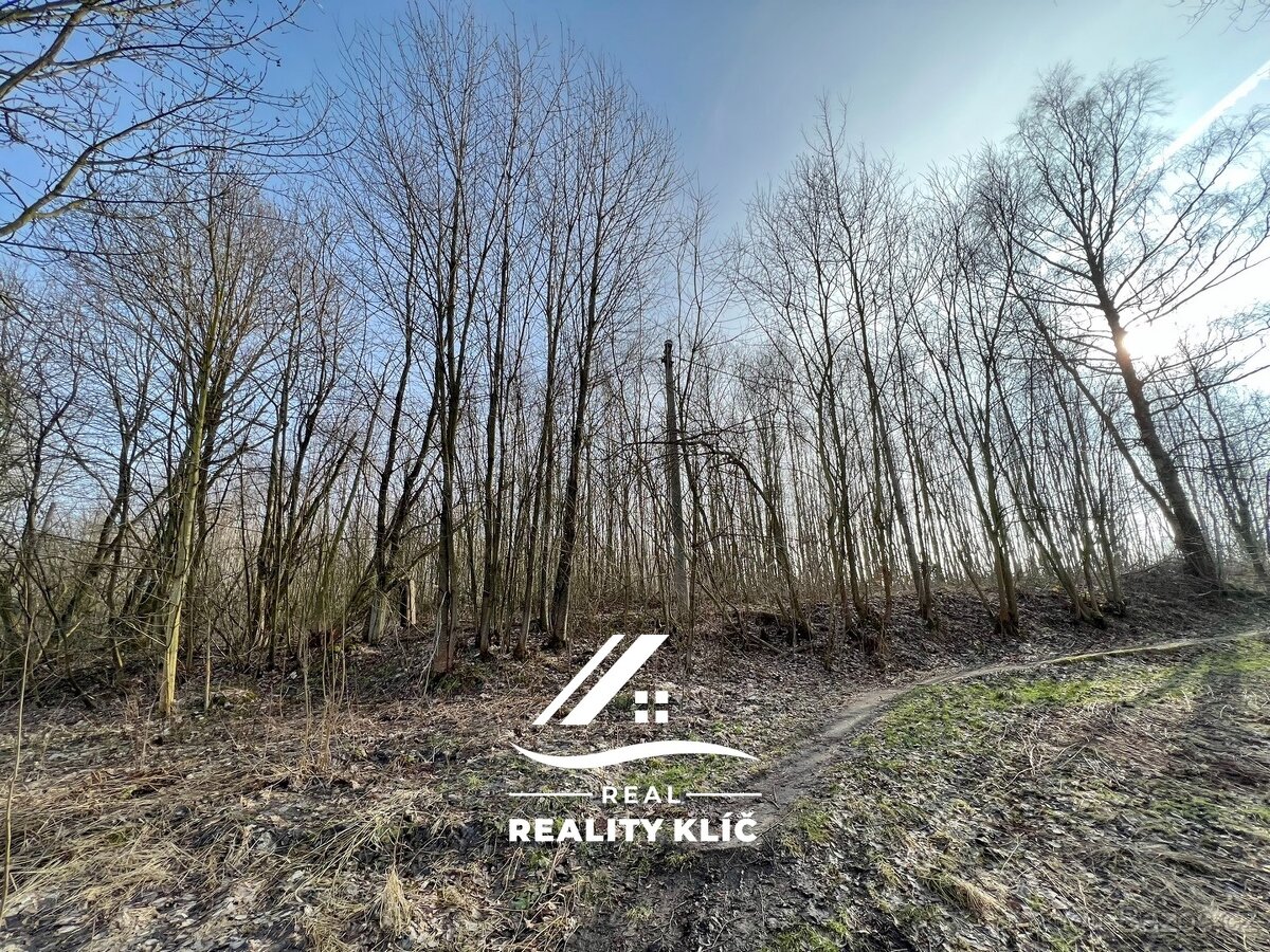 Prodej, tři pozemků o celkové rozloze 15421 m² v Markvartov - 12