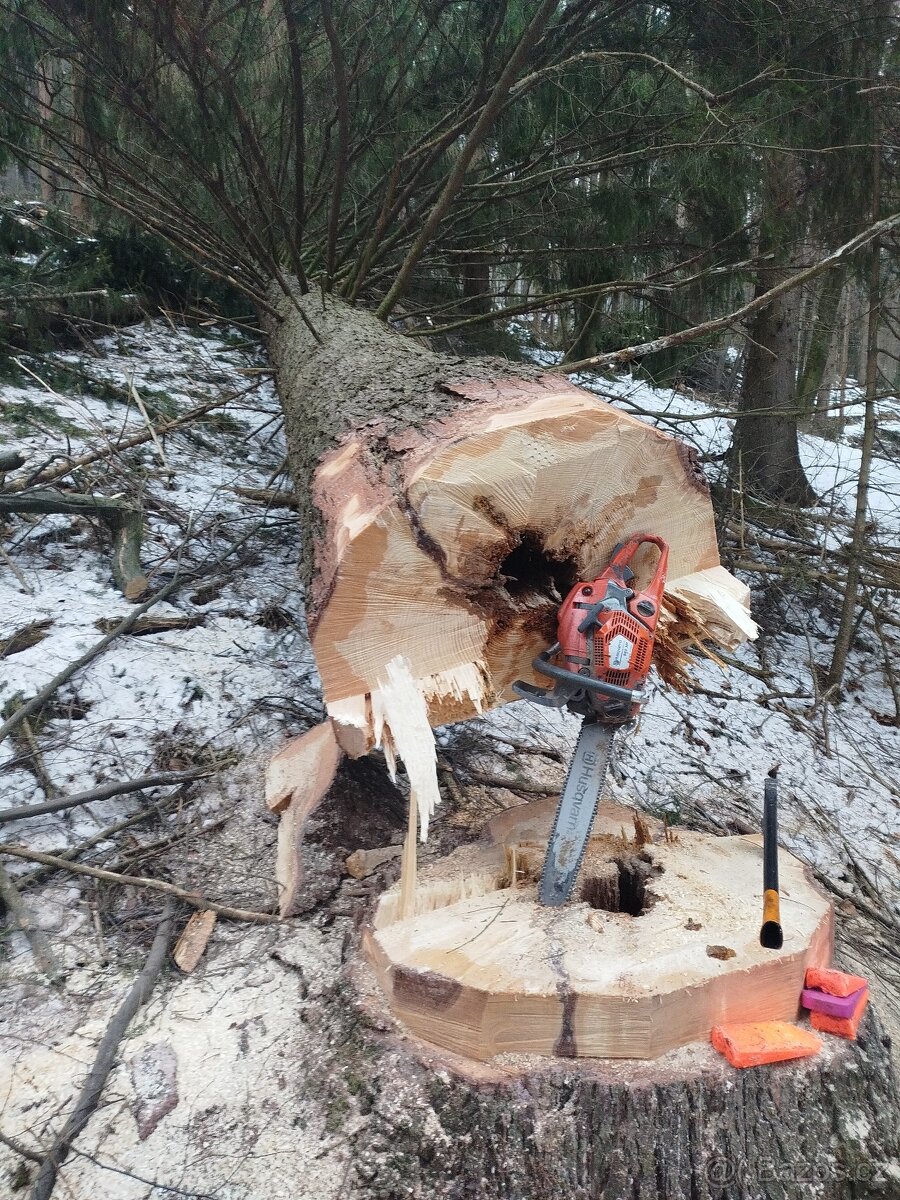 Lesnické práce - 12