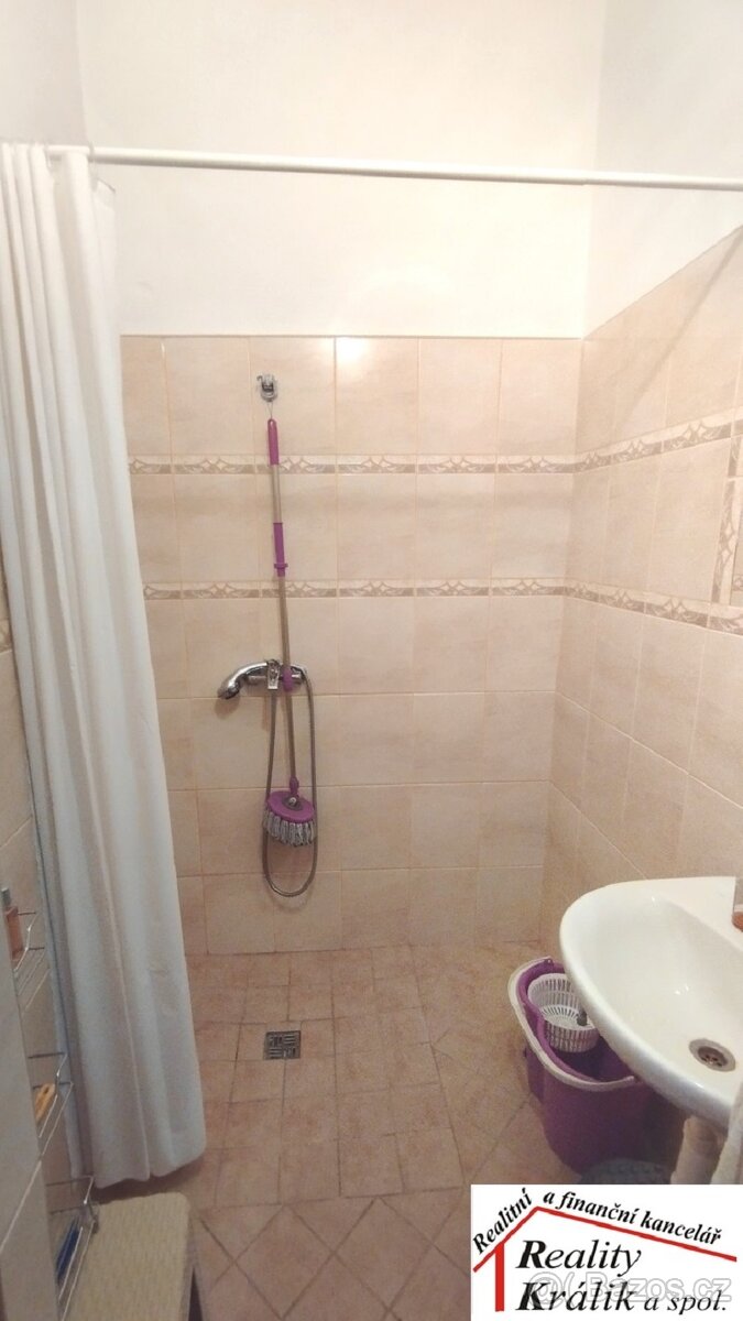 Prodejna se zázemí s možností přestavby na bydlení v K.Hoře - 12