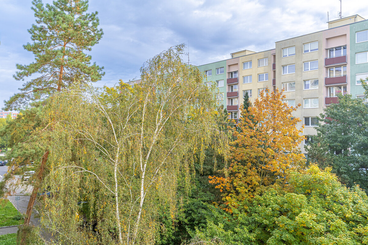 Prodej prostorného bytu 2+kk, Mladá Boleslav - 12