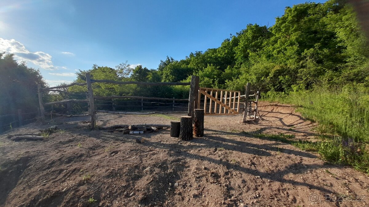 Nabídka ustájení 24/7 - 12