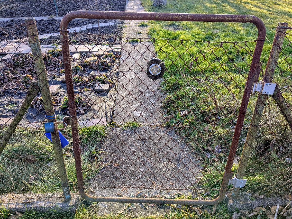 Prodej zahrady, Nové Jesenčany, Pardubice - 12