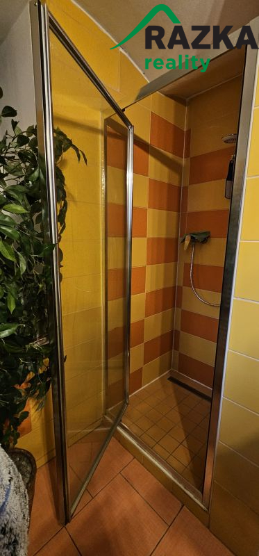 RD 5+KK (159 m2) se zahradou Bor - Ostrov u Tachova - 12