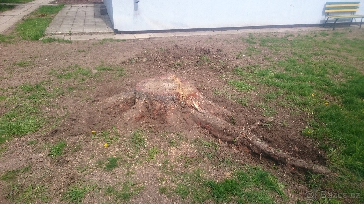 FRÉZOVÁNÍ - ODSTRAŇOVÁNÍ PAŘEZŮ - 12