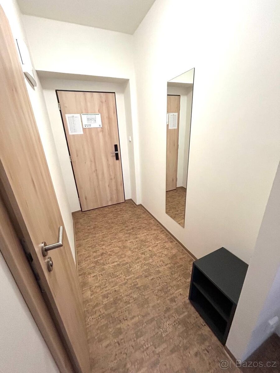 krásný byt 1+kk 22m2 v ul. Křížová, Praha - Smíchov - 12