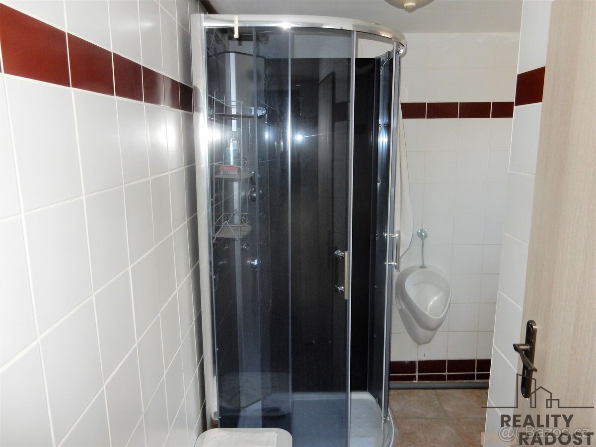 Pronájem nebytového prostoru 170m2 osobní vlastnictví ulice - 12