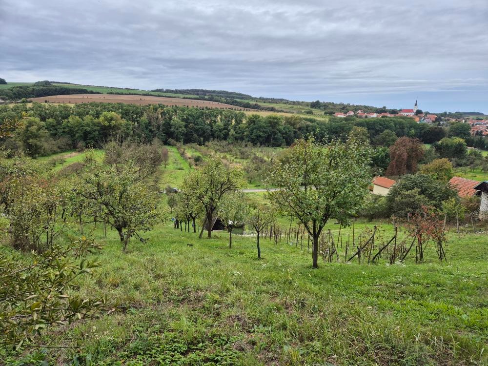 Zahrada ve lhotské Staré hoře - 12