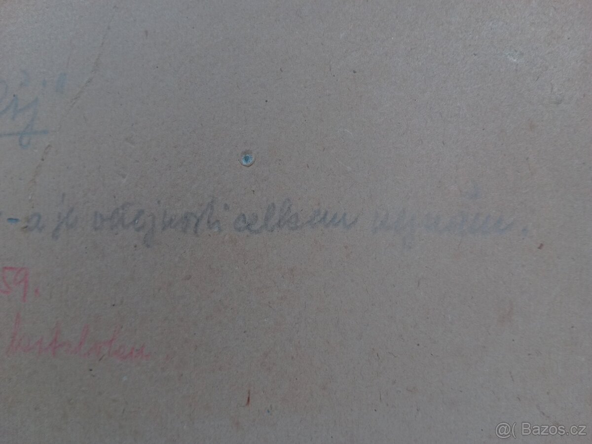 Pěkný starý obraz - akad.malíř J.F.Solan - 12