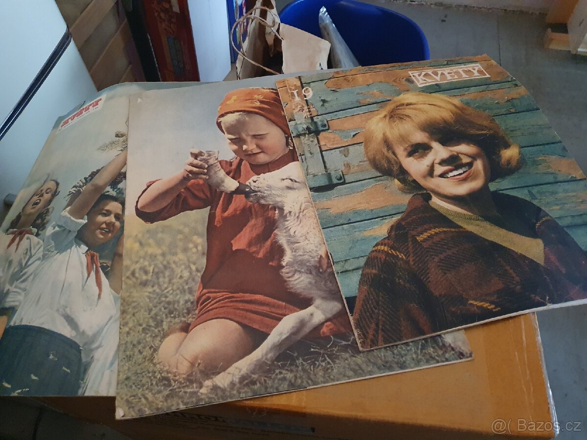 Rodokaps, Květy - 12