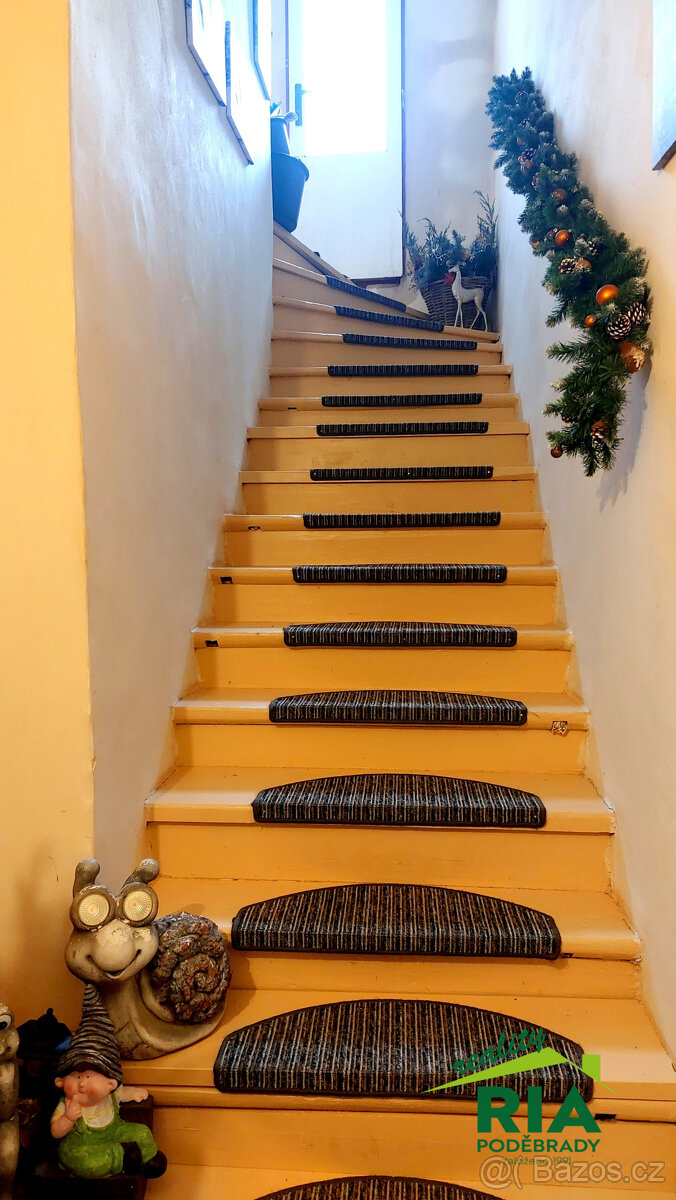 Týnec nad Labem okr. Kolín RD 2+1, dvorek - 12