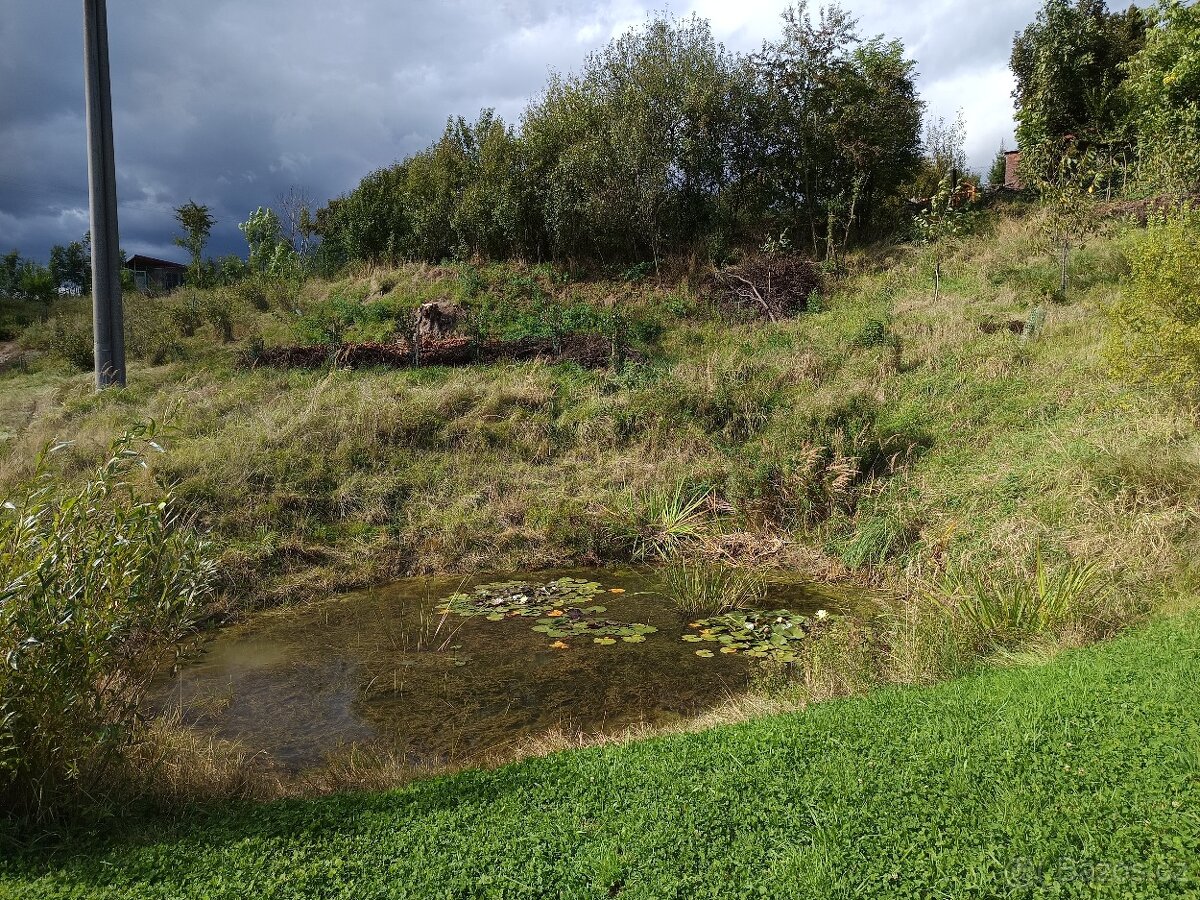 Dum a pozemky v Pribyslavi - 12