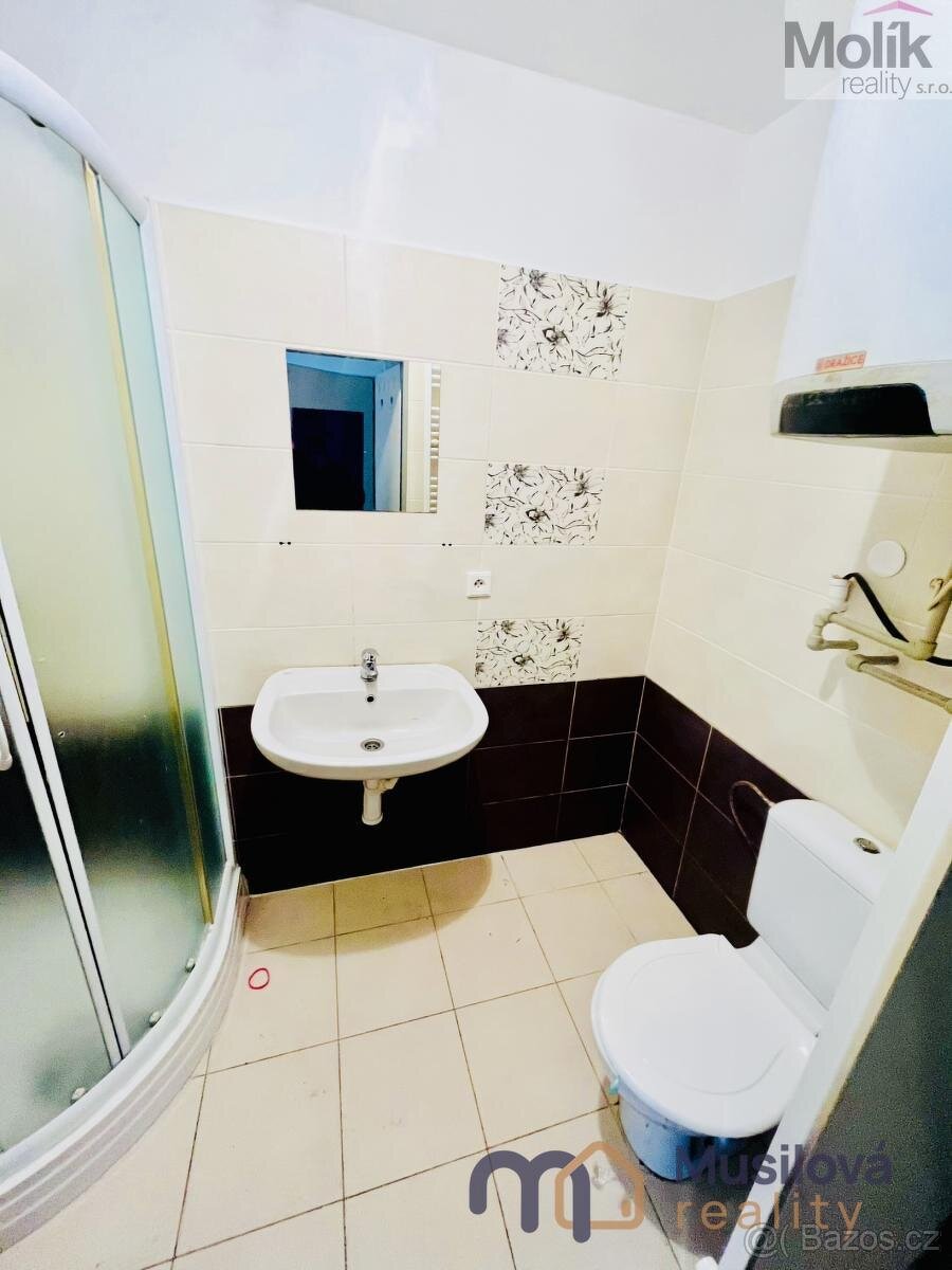 Prodej bytového domu 760 m2, pozemek 154 m2 - 12