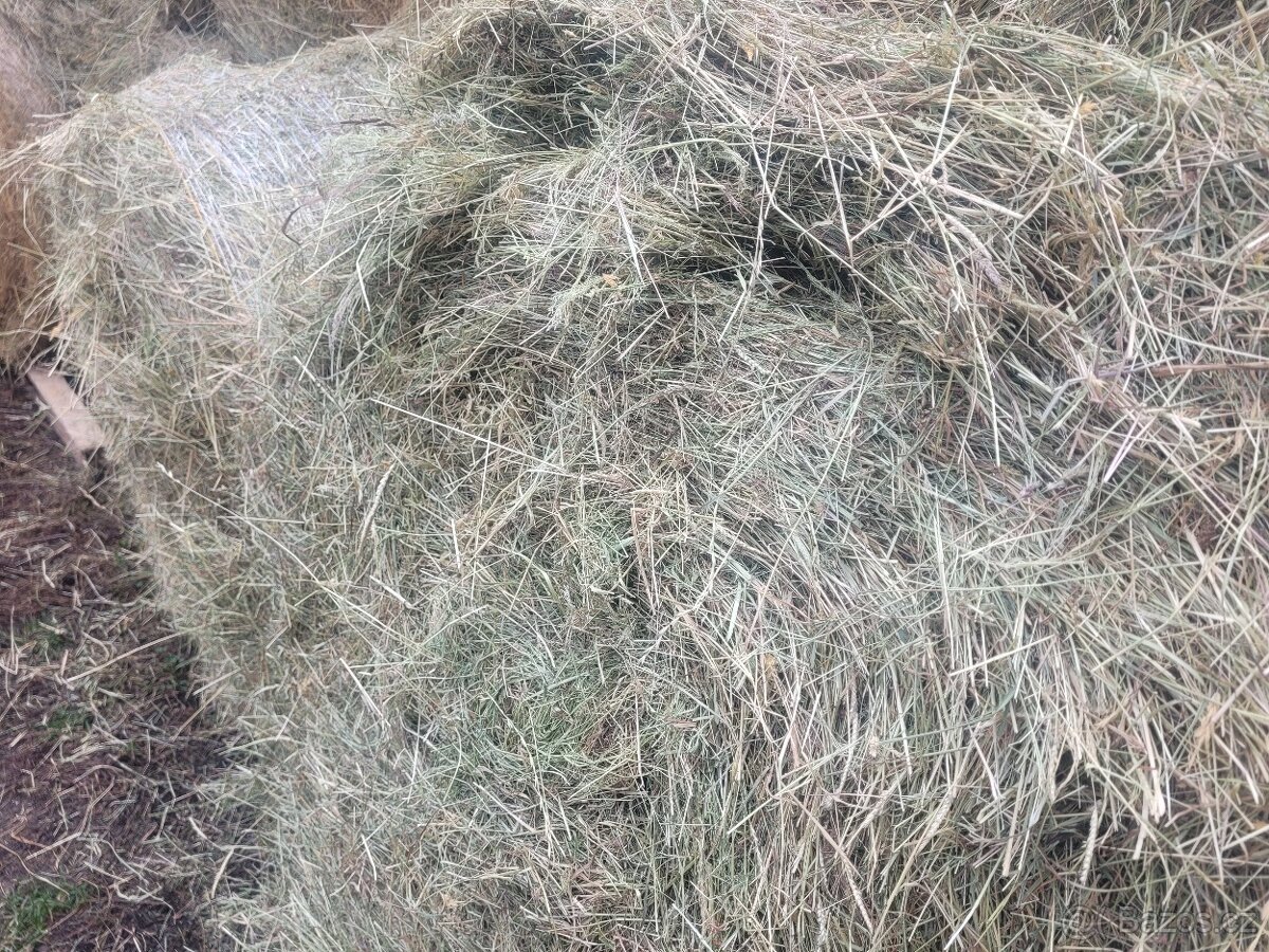 Seno kulaté balíky ze Šumavy - 12