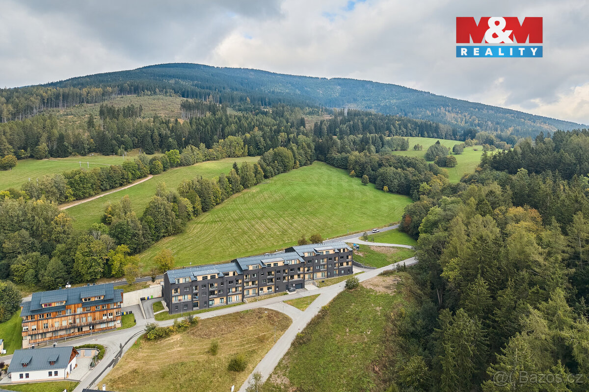 Prodej bytu 2+kk, 42 m², Černý Důl - 12