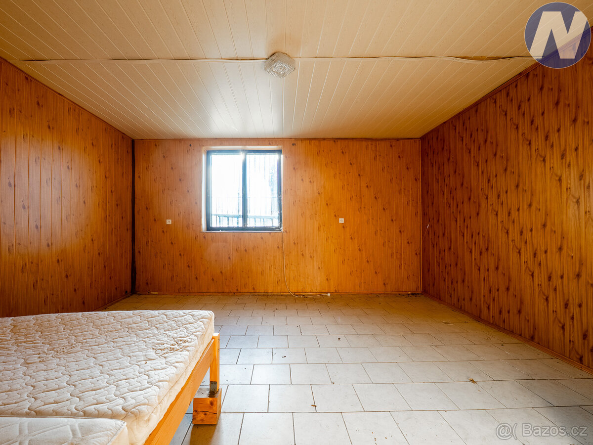 Prodej komerčního objektu 179 m², pozemek 16100 m², Vráž u P - 12