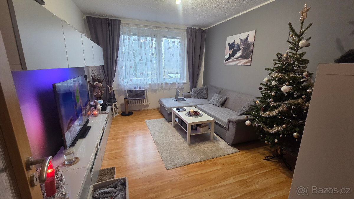 Prodej bytu 2+1 Třebíč - 12