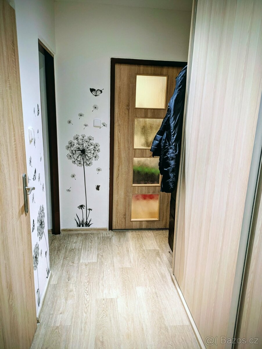 Prodej zrekonstruovaného bytu 2+1 - 12