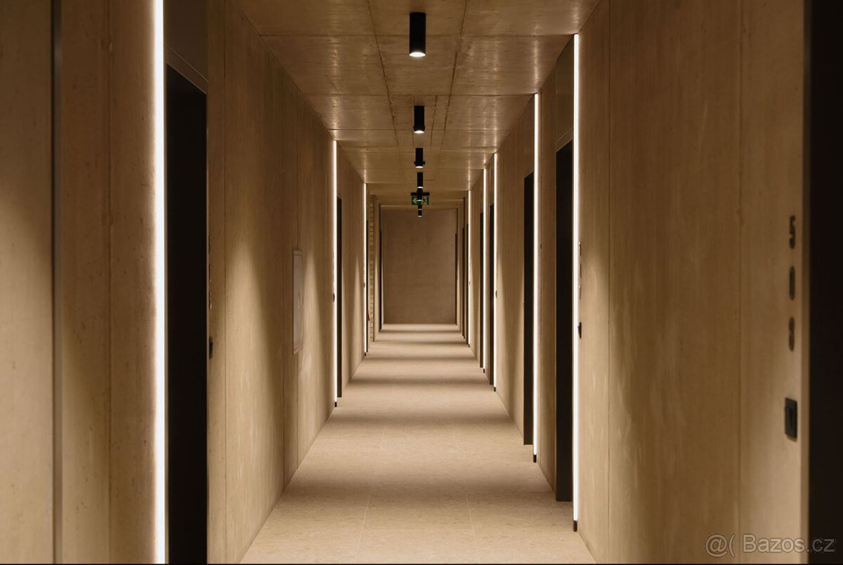 Pronájem bytu 1+kk 42 m² Bratislavská, Brno - Zábrdovice - 12