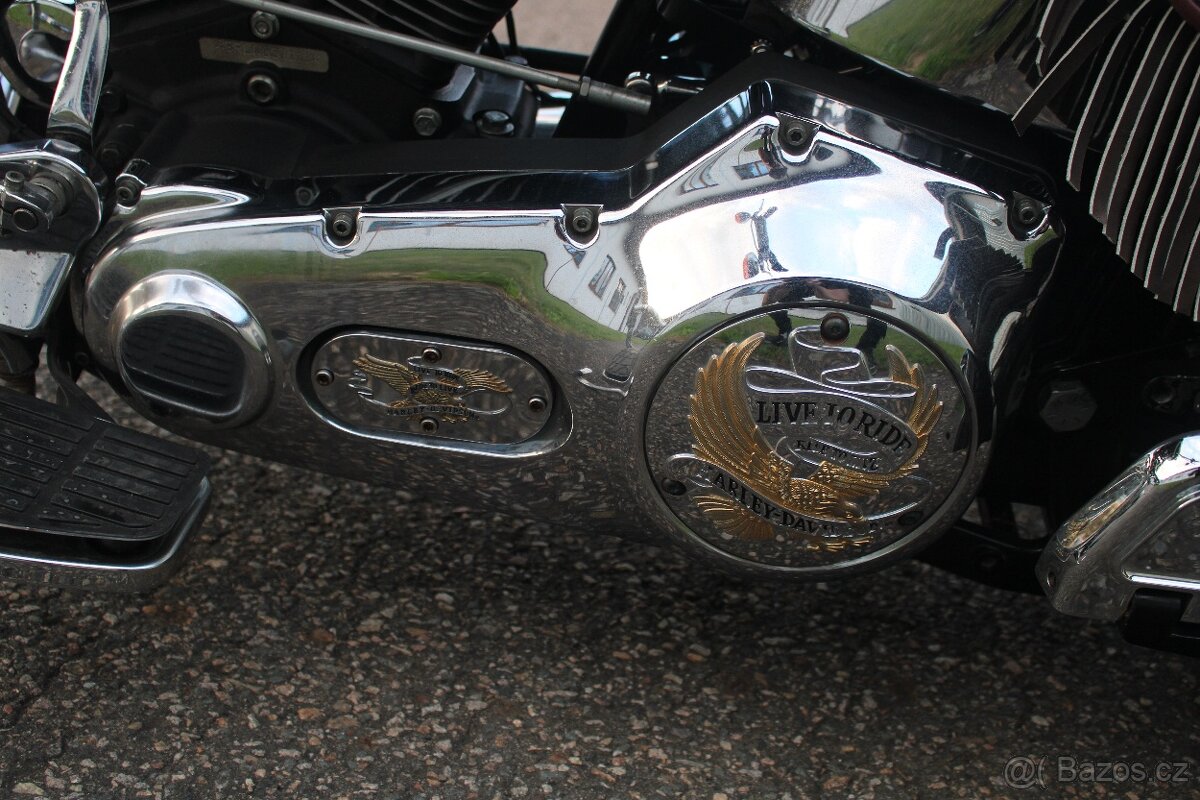 Harley-Davidson 1998 FLSTS Heritage Springer 95thAnniversary - 12