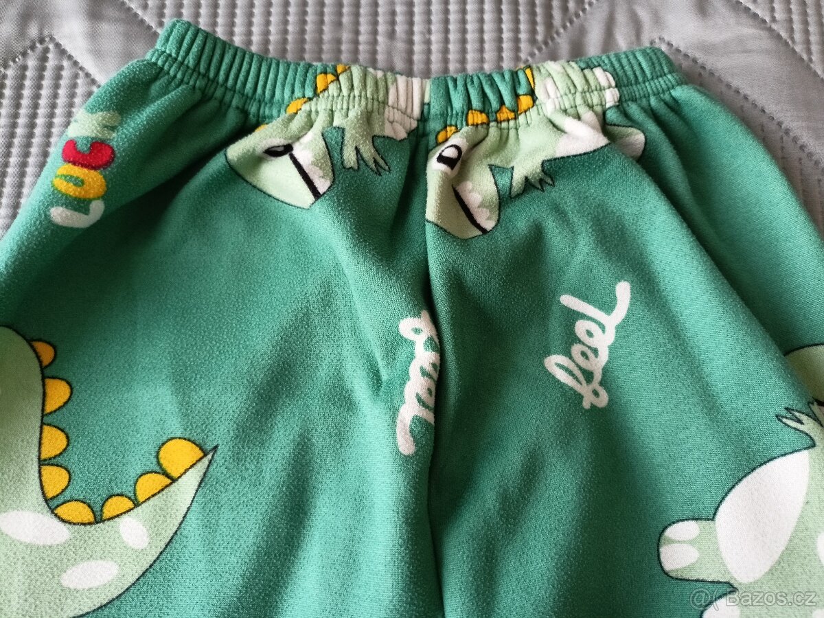 Set na doma s Dinosaury, 128/134 - 12