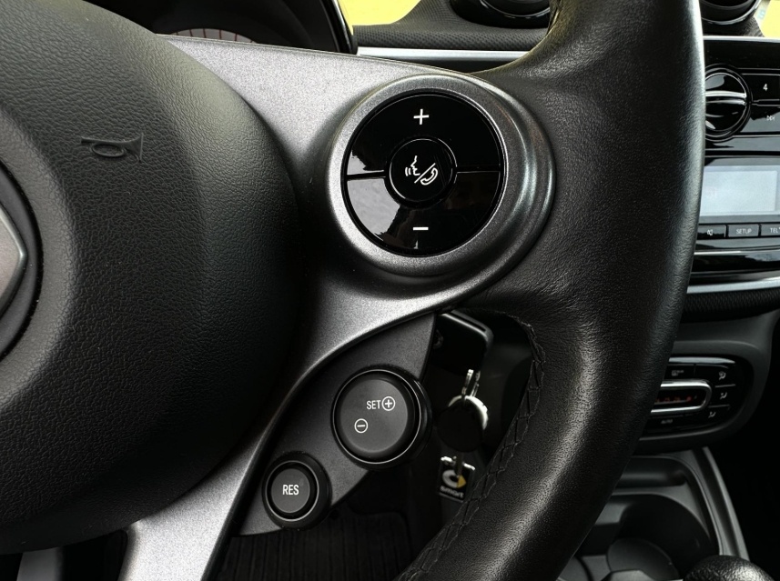 Smart Forfour EQ forfour 1.Maj. Cabrio r.v. 2018 - 12