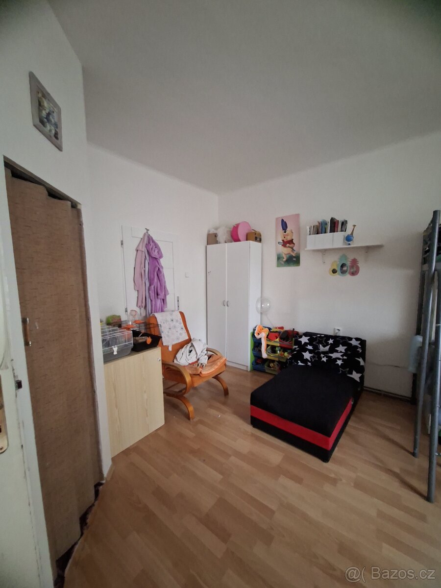 Pronájem 3+1 Olomouc - 12