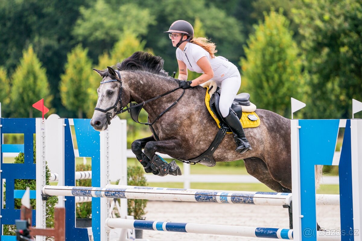 Prodej závodní stáje z důvodu ZDRAVÍ - 12