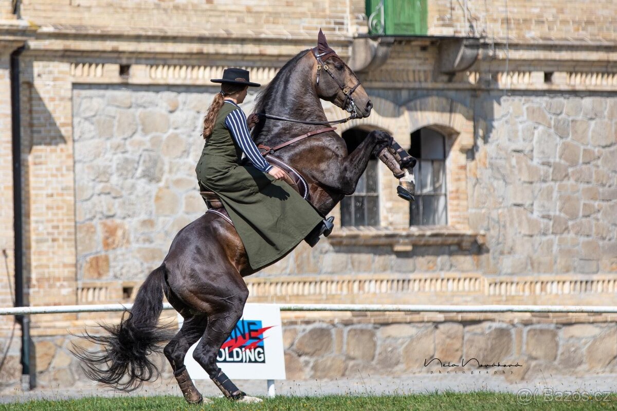 PŘIPOUŠTĚNÍ PSL - 12