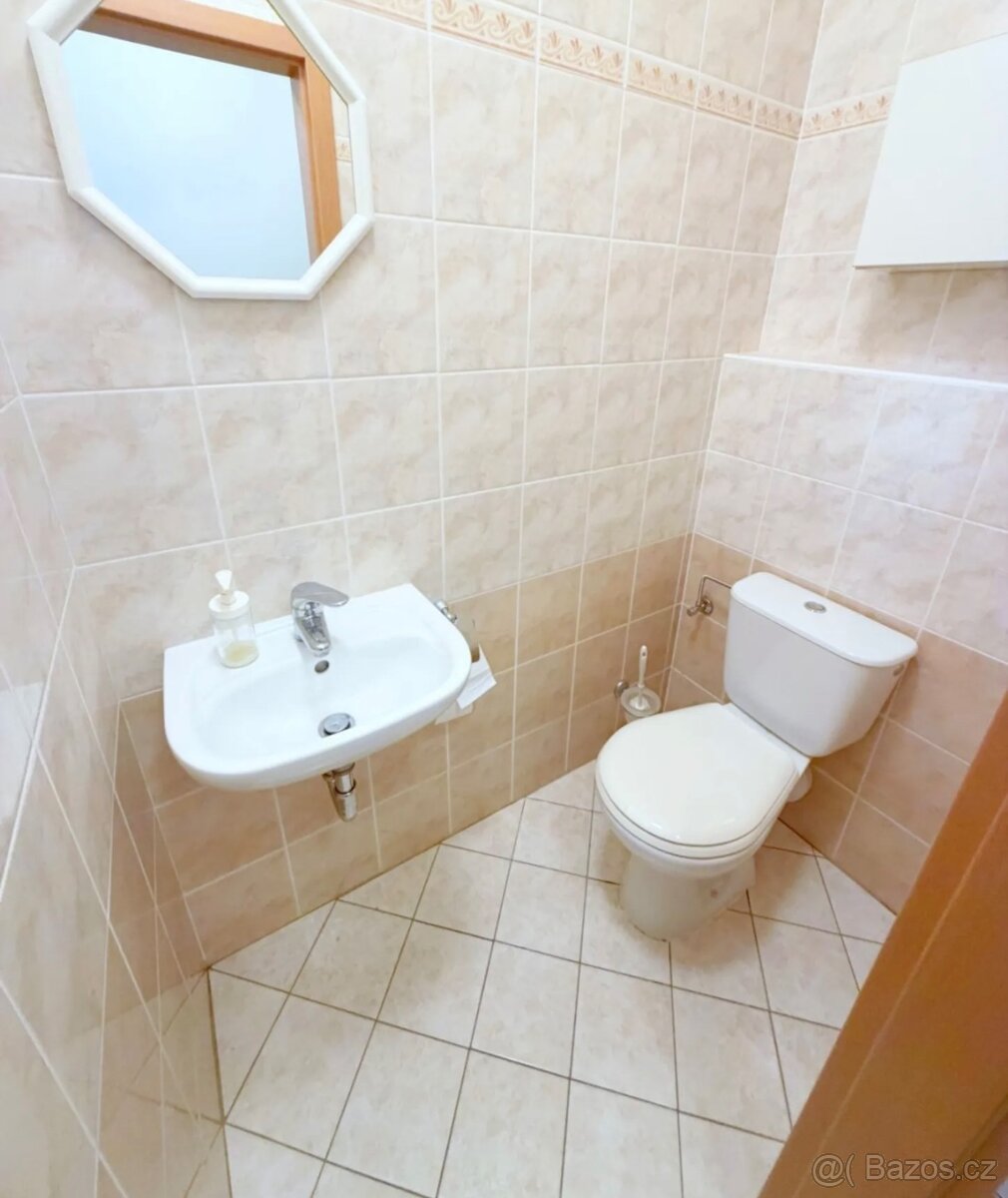 Pronájem bytu 2+kk - 12