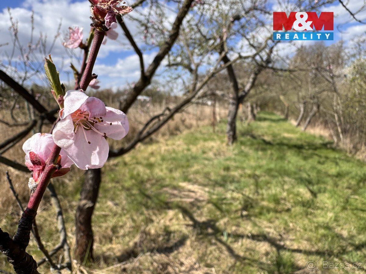 Prodej chaty, Hrušovany u Brna - 12