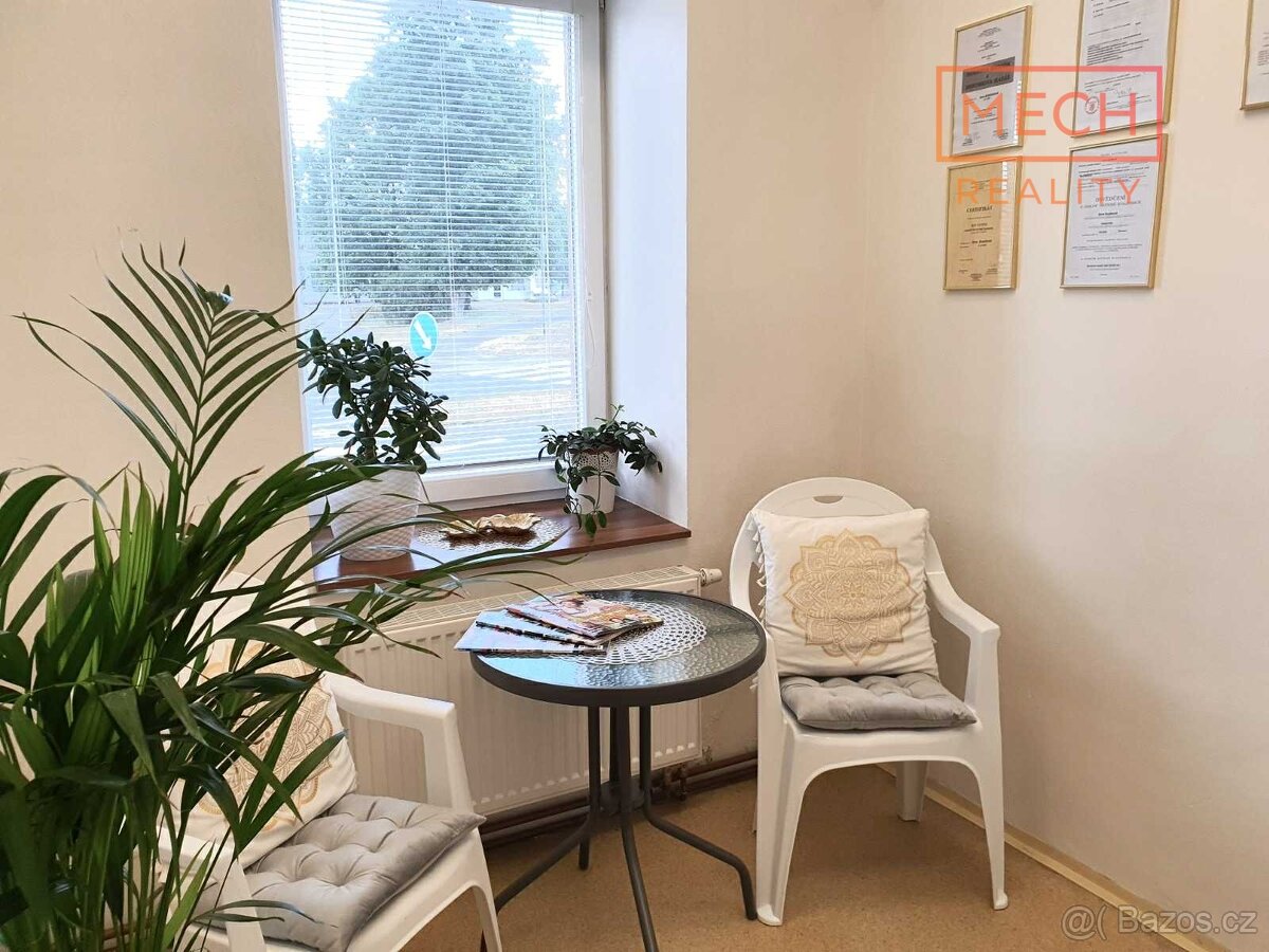 Pronájem komerčního prostoru – Šternberk - 12