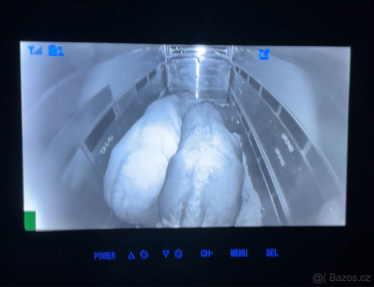 Nabízím přepravu hospodářských zvířat a menších koní - 12