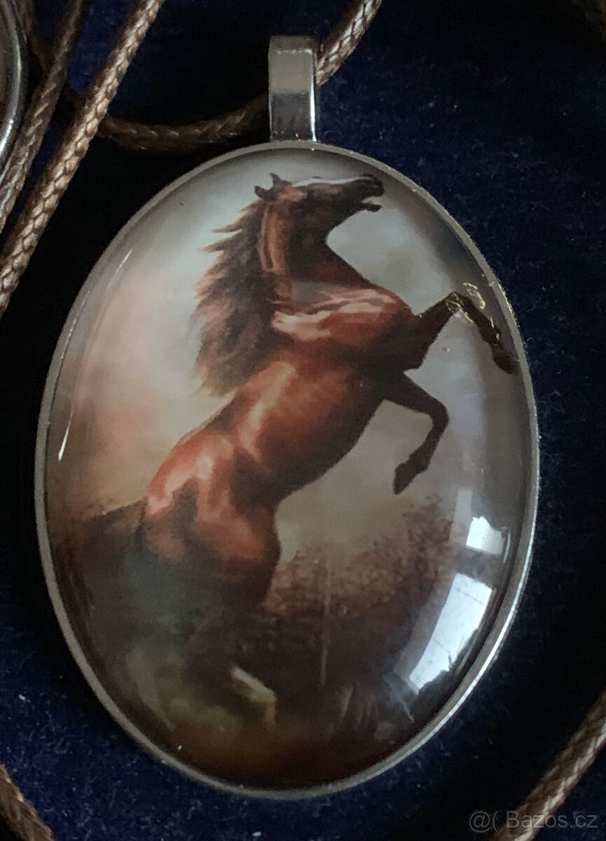 tématika. koně - 12