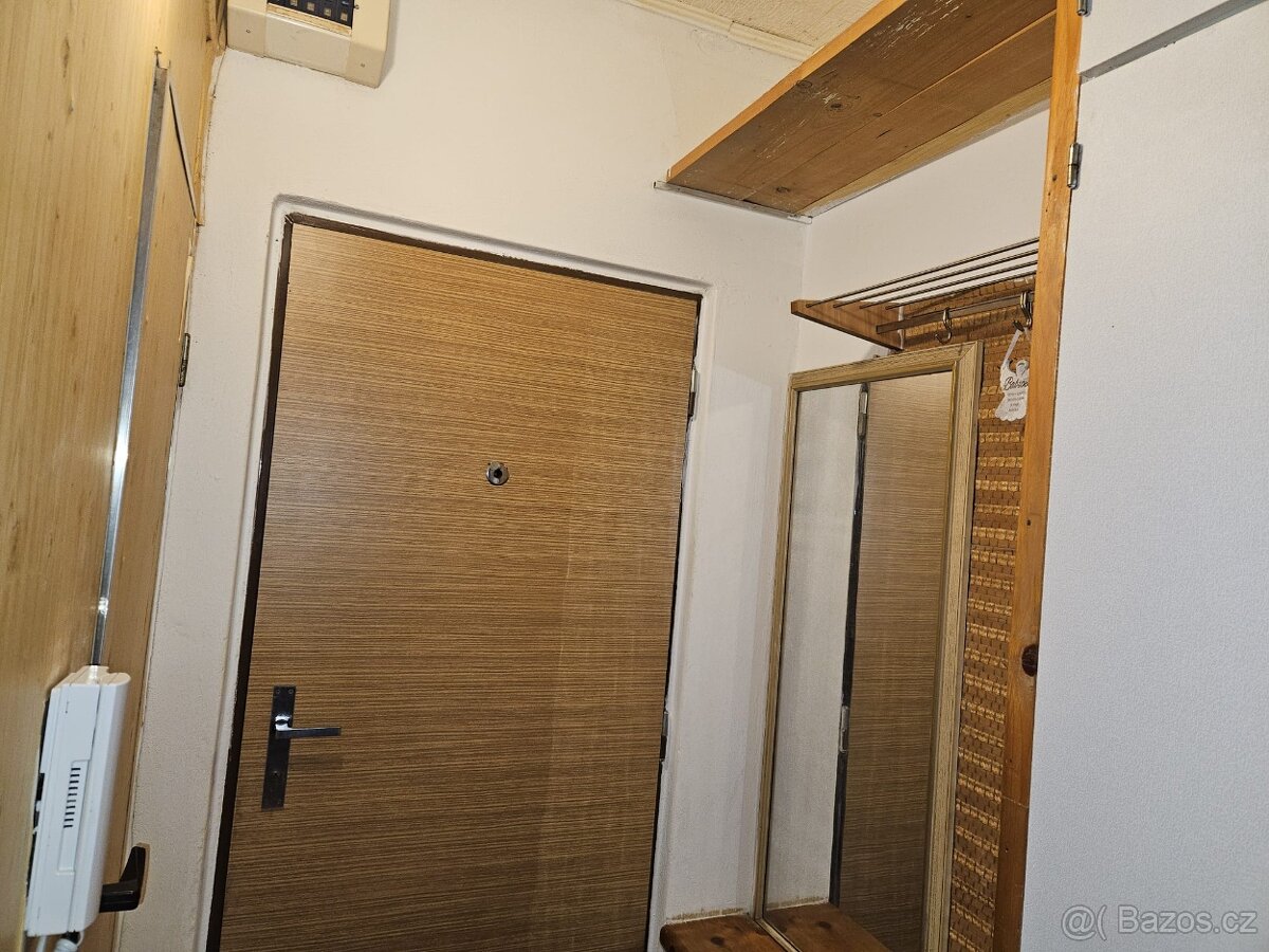 Pronájem bytu 1+1 Mariánské lázně - 12