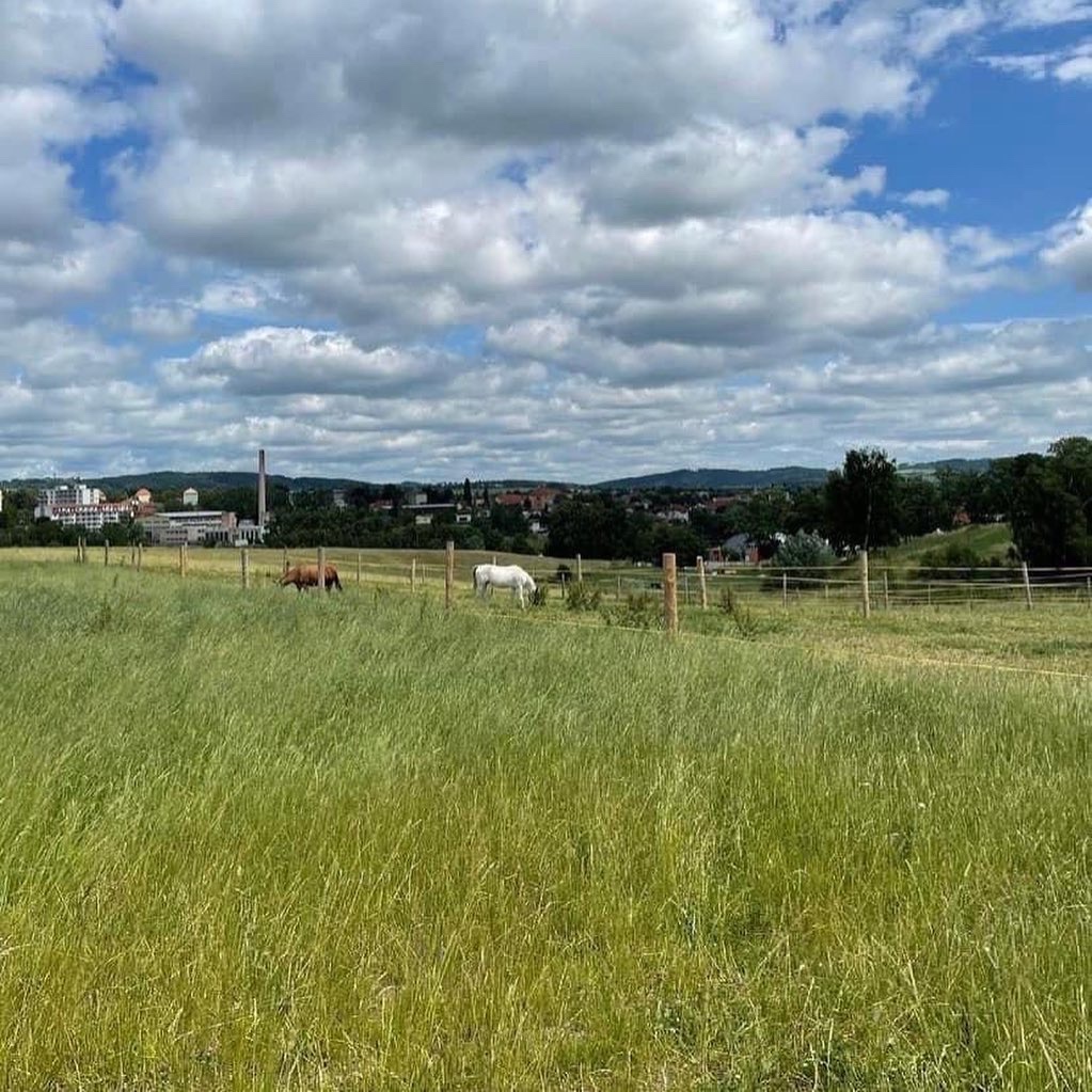 HŘÍBÁRNA NA EDENU - 12