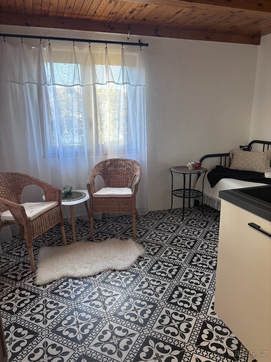 Prodej zděné rekreační chaty, Planá - Strkov - 12