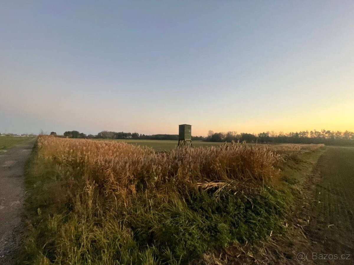 Veľký Pozemok 45 172 m² pri Malých Levároch - 12