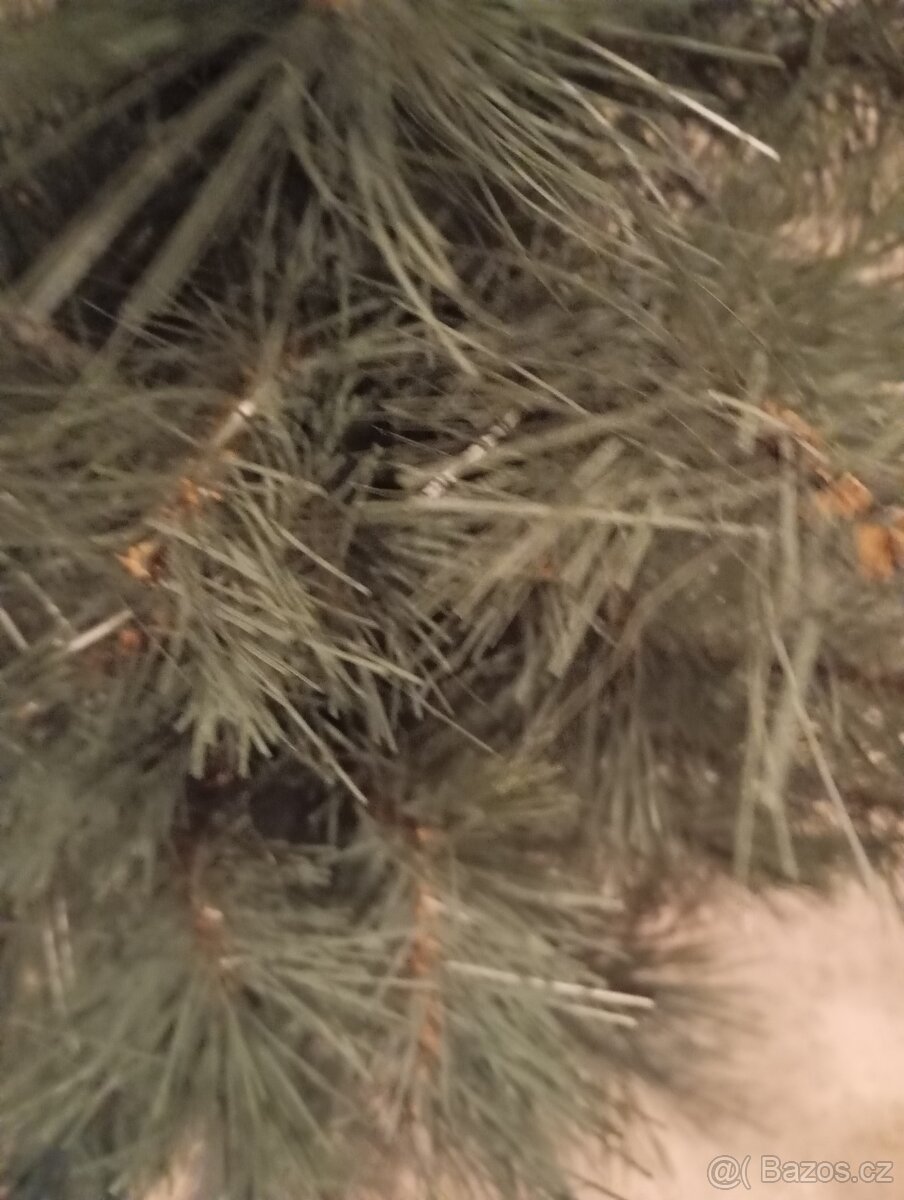 nové dřevěné ozdoby,běhouny,vánoční stromek - 12