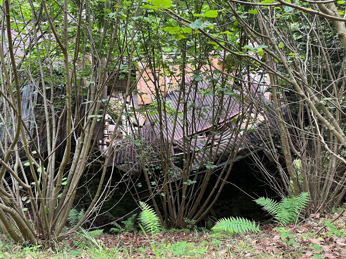 Prodej chalupy - Podhora u Pěnčína - 12